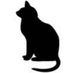 TewkesburyAlleycats (@tewkesalleycats) Twitter profile photo TewkesburyAlleycats (@tewkesalleycats) Twitter profile photo
