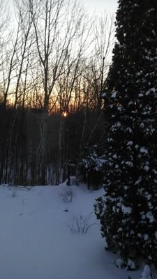 MiroslawGaber's profile picture. 