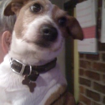 mdconleyhair's profile picture. Hair and beauty on Burton Rd since 1992.