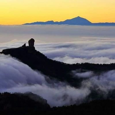 ¡¡ Ciudadano del mundo !!
Perfil Privado de un Ciudadano
que se ocupa de algunas cosas
de Canarias.