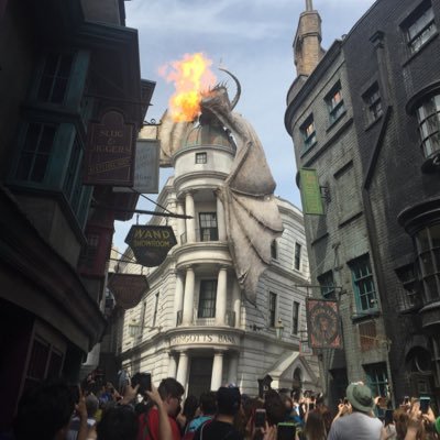 kslonebooks's profile picture. 