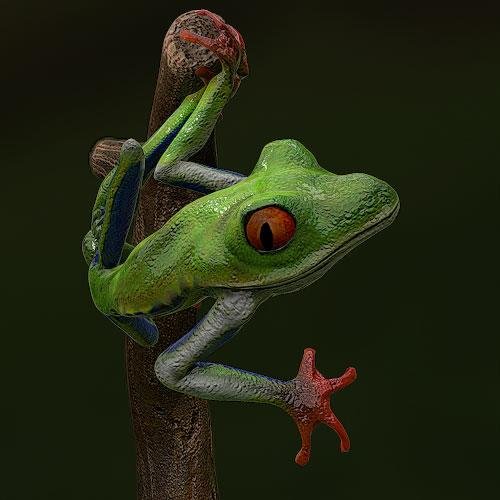 FacelessMindz's profile picture. Self-taught programmer (python,mel,zscript and C)  Plugins maker for ZBrush. https://t.co/RwoyPDu6ED