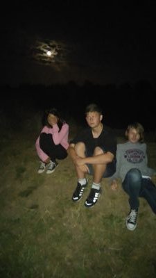 ReeveJL's profile picture. Uni student. Music and film fan. I make Pizza boxes for a living.