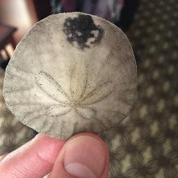 feydhark's profile picture. 