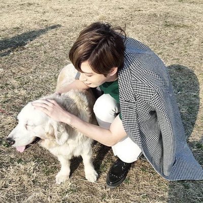 blockb/u-kiss/superjunior/2pm/got7                       アイドルみんな好き