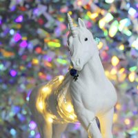 PerpetualFungus (@fungusinplace) 's Twitter Profile