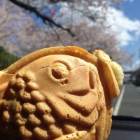 ゆっきー (@8779y) 's Twitter Profile Photo ゆっきー (@8779y) 's Twitter Profile Photo