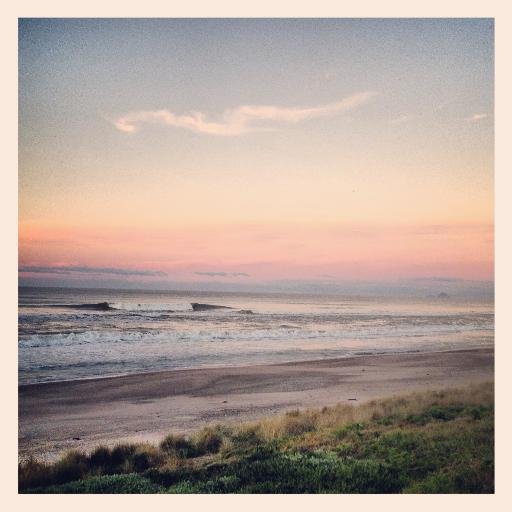 laynesnz's profile picture. 