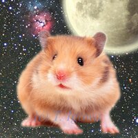 井川俊彦 (@toshihiko_igawa) 's Twitter Profile Photo