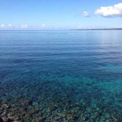 gsamue's profile picture. 