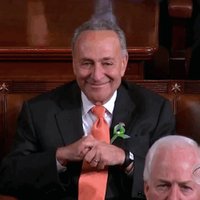 Fake Sen. Shoemer (@senchuckshoemer) 's Twitter Profile