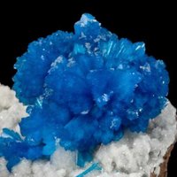 DocHalo (@4dochalo) 's Twitter Profile