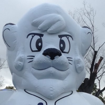 yu_ma165's profile picture. 