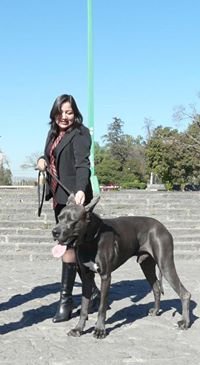 RBK7777777's profile picture. 