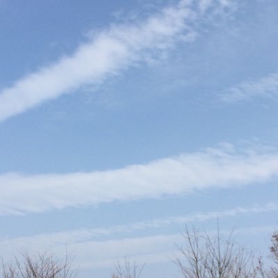 PYONKICHISAN1's profile picture. 