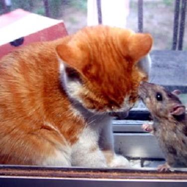 JustLikeAnnabel's profile picture. Londoner. Foodie. Feminist. Mother. #adulthumanfemale #notoselfid