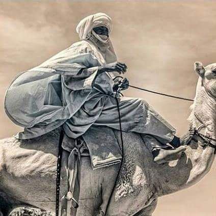 Allah has sent down the Best Statement, a Book, its parts resembling each other (and) oft-repeated. The skins of those who fear their Lord shiver from it.