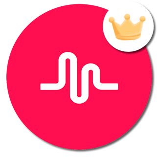 Trending Musical.ly (@musicallyviral) | Twitter - 323 x 323 jpeg 10kB