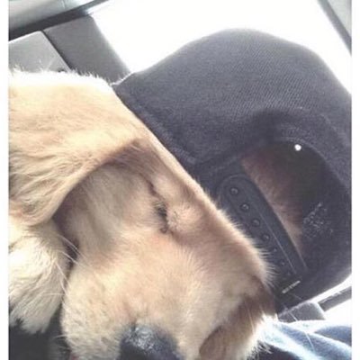 Emaanshahid_'s profile picture. come what may.