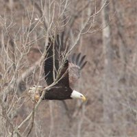 Tim Bugg (@wvbugg) 's Twitter Profile
