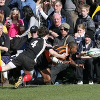 Melrose Sevens (@melrose7s_) 's Twitter Profile