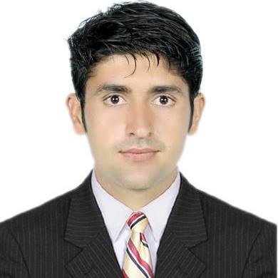 Journalist, columnist Economist