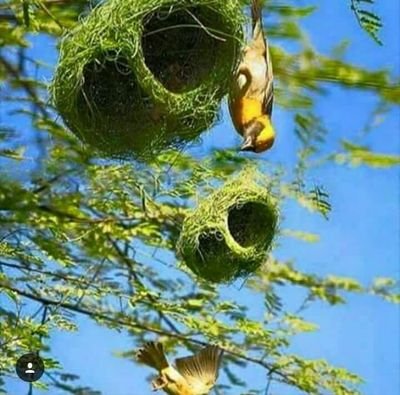 oiuyjhbccnb's profile picture. 