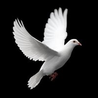 Patnaik Dibyendu (@dibyendupatnaik) 's Twitter Profile