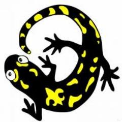 JS Dev (Svelte, VueJS, Vite), writer, and Linux user. Read a lot of webtoons and books. Like Bigroom, Hardstyle & Hardwave music.