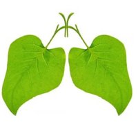 Lungs for Living (@lungsforliving) 's Twitter Profile