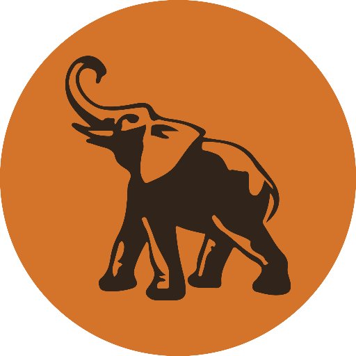 LemongrassEsp's profile picture. 