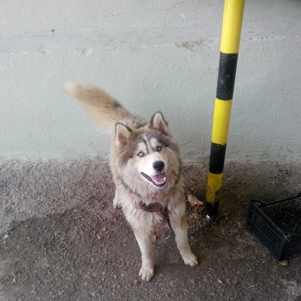 huseyinesk26's profile picture. 