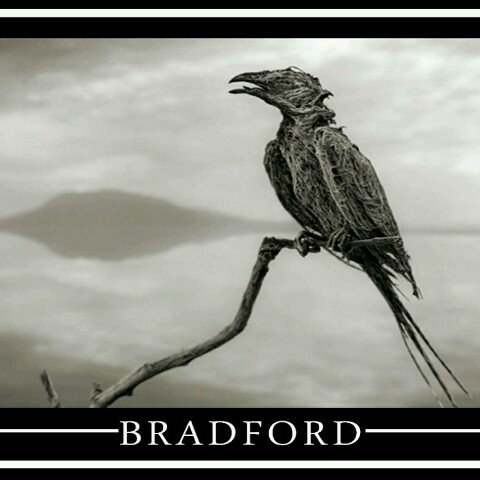 BRADFORD // Melodic Hardcore // Punk Band from South Side