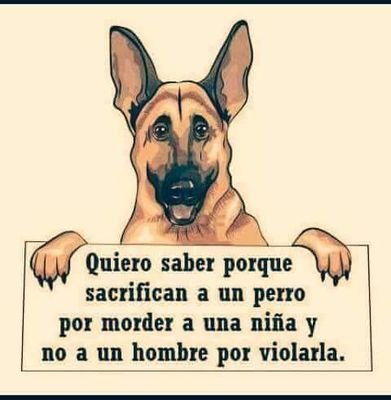 George_boy7's profile picture. 