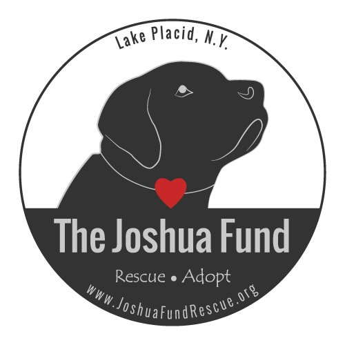 The Joshua Fund Dog Rescue saves dogs who are in danger of euthanasia in high-kill shelters across the US. Our breed focus is Labradors & Lab Mixes.