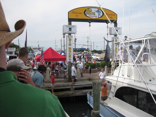 cardsnow's profile picture. 