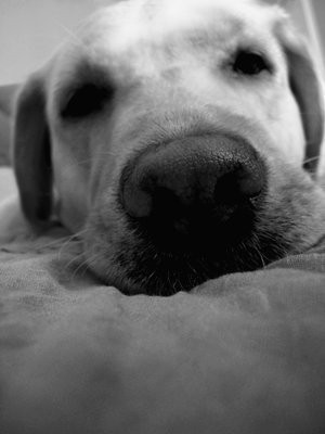 zhousiyun's profile picture. 