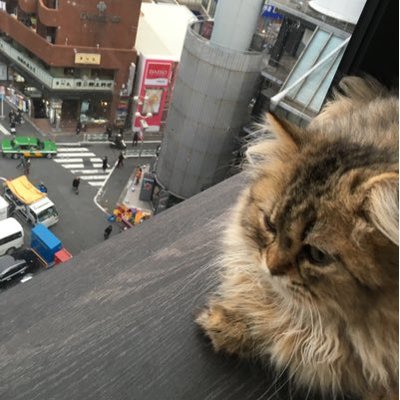 あゆか