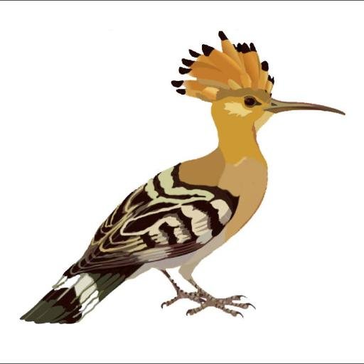 birdeli44's profile picture. 20/01/1967