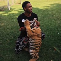 Thunder Cat312 (@mischelle312) 's Twitter Profile