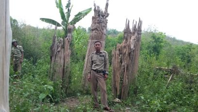 HTUNPE's profile picture. 