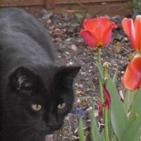 Helen Burchell (@helenburchell) 's Twitter Profile