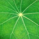 Jakob Kramer - @jakob_kramer - Twitter