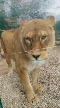 brashear2's profile picture. 