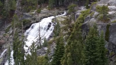 laurasbitchs's profile picture. 