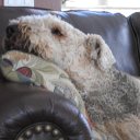 Sean MacArthur - @seanrobmac - Twitter