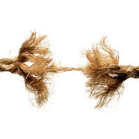 TheStressEffect's profile picture. Stress Experts | ARSENAL Assessment builds Stress Resilience https://t.co/zwnfr5ZSNd Buy The Stress Effect book https://t.co/vErkCE4OMZ | Emotional Intelligence | Decisions