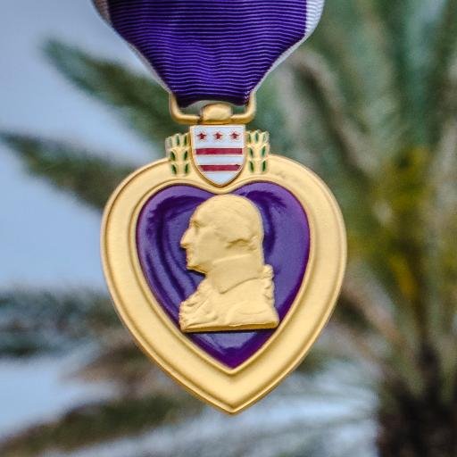 Military Order of the Purple Heart Chapter 524 in Jacksonville, FL. We provide assistance to combat wounded veterans and their families.