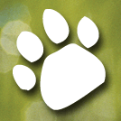 nfwildlifepark's profile picture. Deerleap Lane, Longdown Nr Ashurst, Southampton SO40 4UH 
Tel: 02380 292408