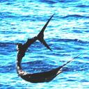 Don Coker - @DACPremierMktng - Twitter